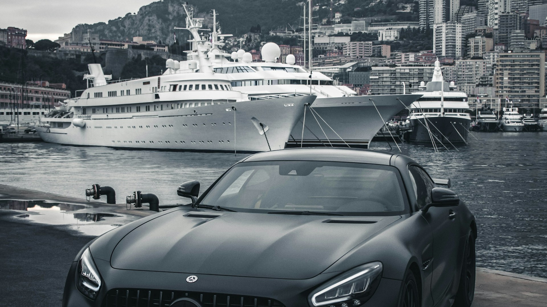 Premium Motors Showroom